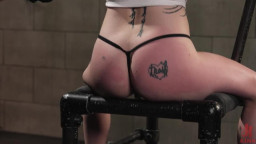 Eli Cross - Pounded And Sounded 19 05 2025